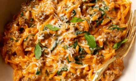 Creamy Tomato Sauce Ground Beef Orzo – A Quick and Delicious Family Favorite